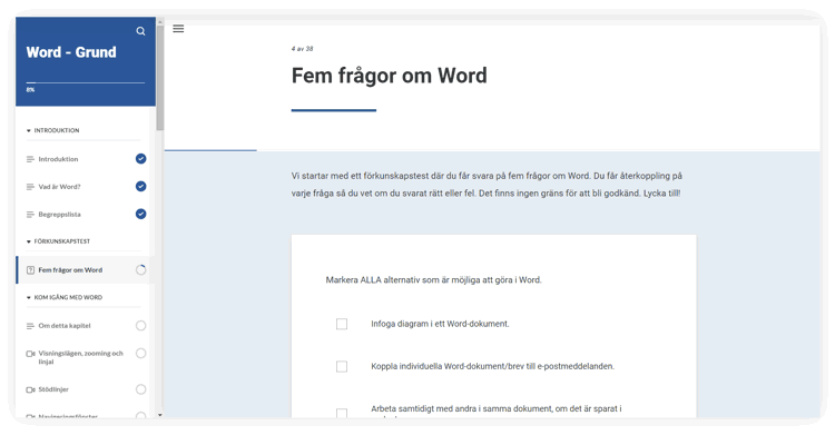 Skärmdump ur kursen Word grund i Lexicon Online Courses