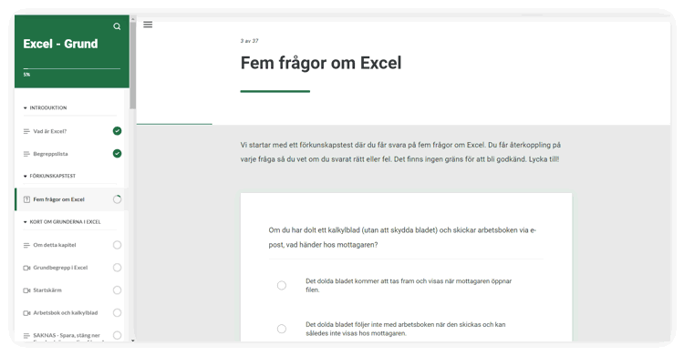 Skärmdump ur kursen Excel grund i Lexicon Online Courses